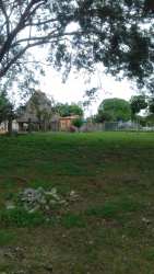 View of large build-ready lot with trees in Gorgona Panama close to Pacific beaches