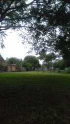 Flat 1000m2 land lot in Playa Gorgona close to ocean ideal for building project