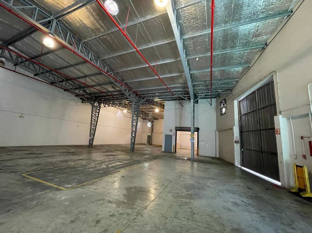 Industrial warehouse for rent large open floor with high ceiling Albrook Free Zone