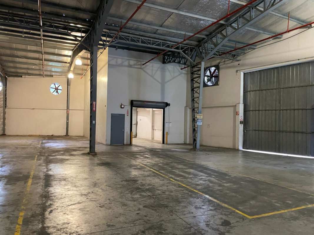 Industrial property warehouse floor with ventilation and overhead lights at Albrook