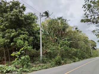 Mountain View Land on Road to Sorá & Altos del María