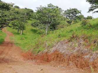 Lush green rolling hills and grasslands on farm for sale in Soná