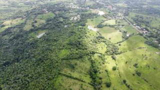 Farm/Land for Sale in Arosemena - 3 bedrooms