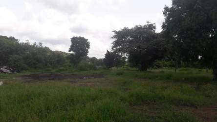 Vacant lot with grass, trees and countryside scenery in La Mitra Panama Oeste