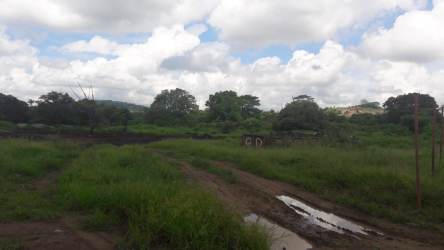 View of dirt access road amid lush greenery ideal for farming or development