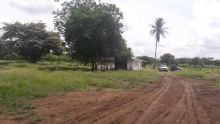 Small rural building with open fields and natural vegetation La Mitra Panama
