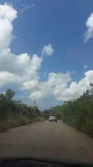 Land / Lot for Sale in La Mitra - 0 bedrooms