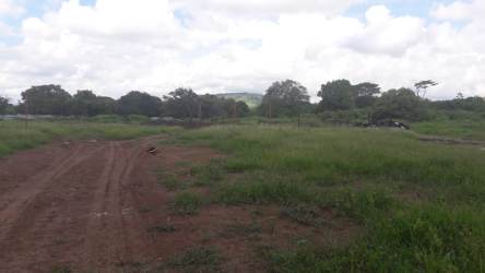 Suburban residential houses and greenery near La Mitra Panama Oeste