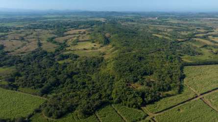 83 Hectare Development Investment Land 12min Santiago in Soná - View 3