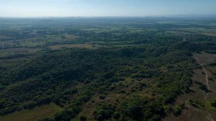 83 Hectare Development Investment Land 12min Santiago in Soná - View 5