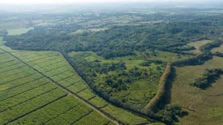 83 Hectare Development Investment Land 12min Santiago in Soná - View 6