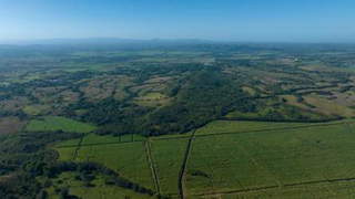 Property for rent in Panama City - 0 bedrooms