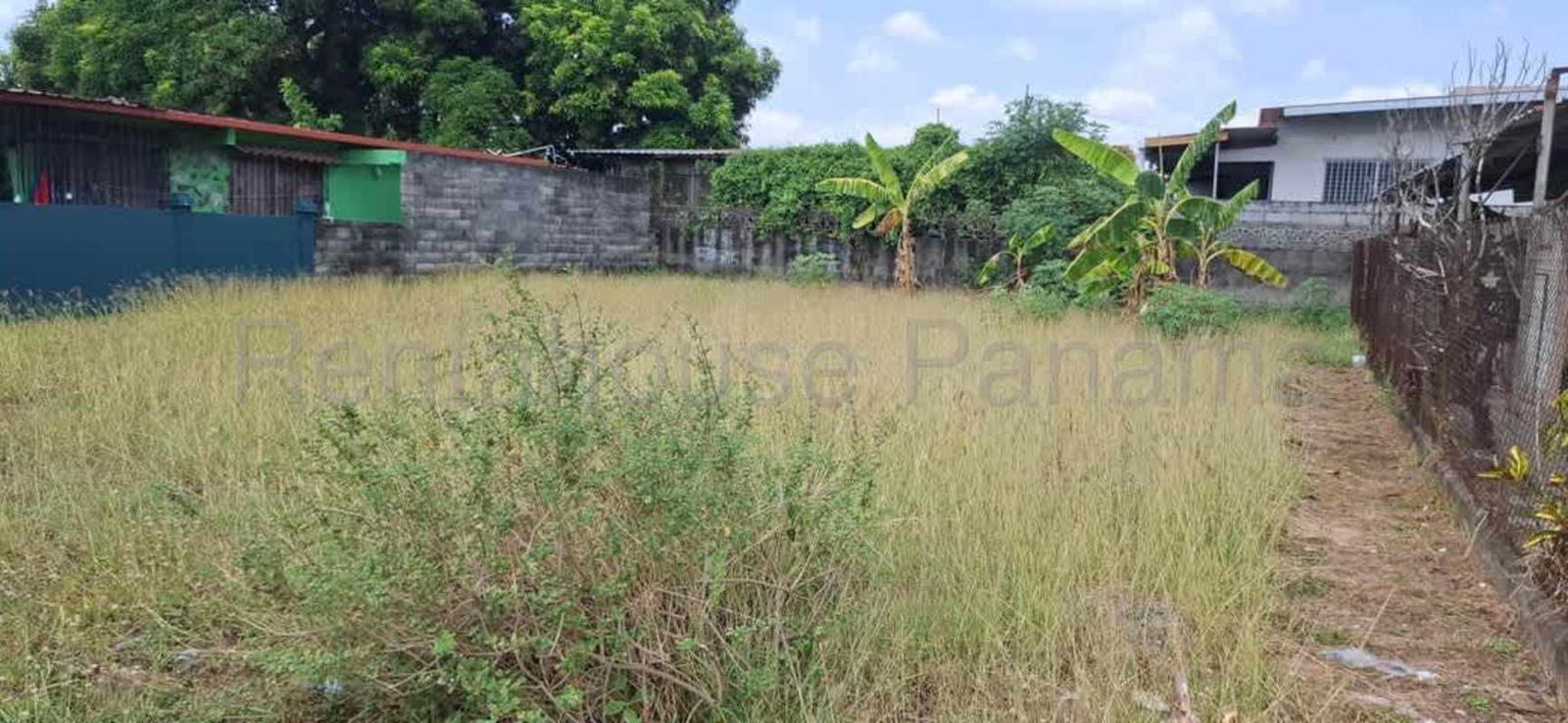 Flat vacant lot near Costa del Este, Panama City with vegetation ready for building.