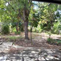 Shaded yard with mature trees at Penonomé center house