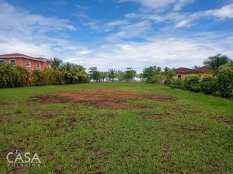 Private sandy beach lined with palm trees on Boca Chica waterfront