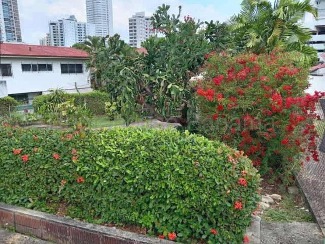 Curved concrete driveway with garden and mature trees in San Francisco residential home for sale Panama