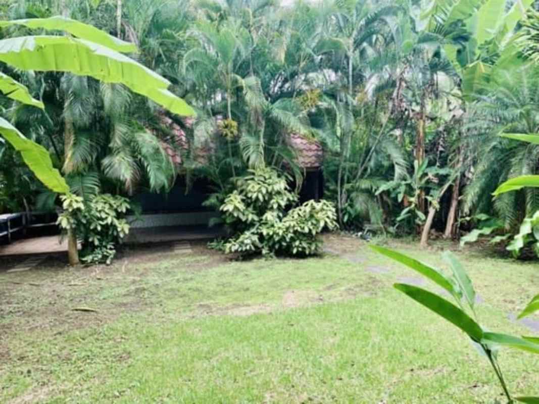 Lush tropical garden landscaping outdoor area duplex in Albrook Clayton Panama
