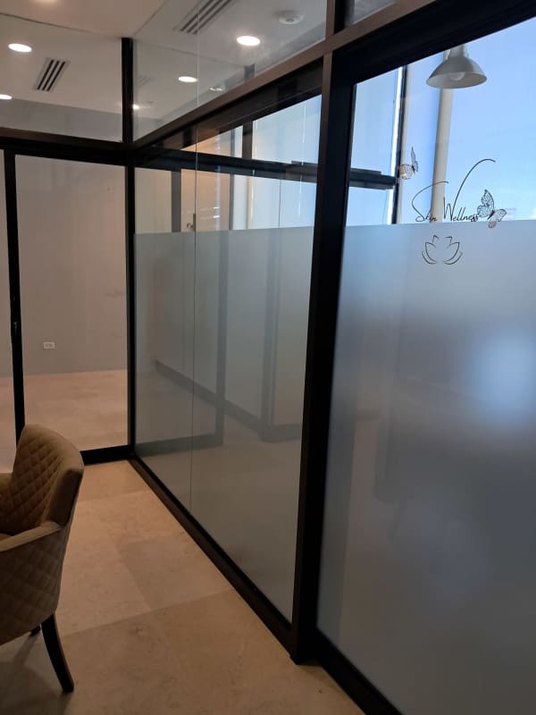 Inside private office with frosted glass partitions Edison Corporate Center Panama