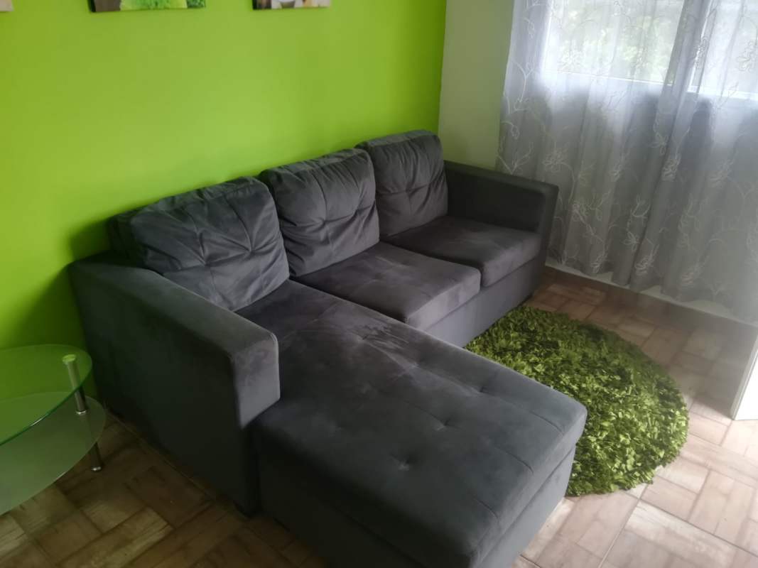 Living room with green accent wall, gray sofa, large window in studio Casa 725 Clayton Panama