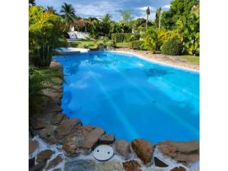 Private swimming pool surrounded by palm trees and lawn in Coronado Nueva Gorgona home