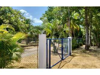 Secure gated entrance with tropical palm trees Coronado Panama rental home