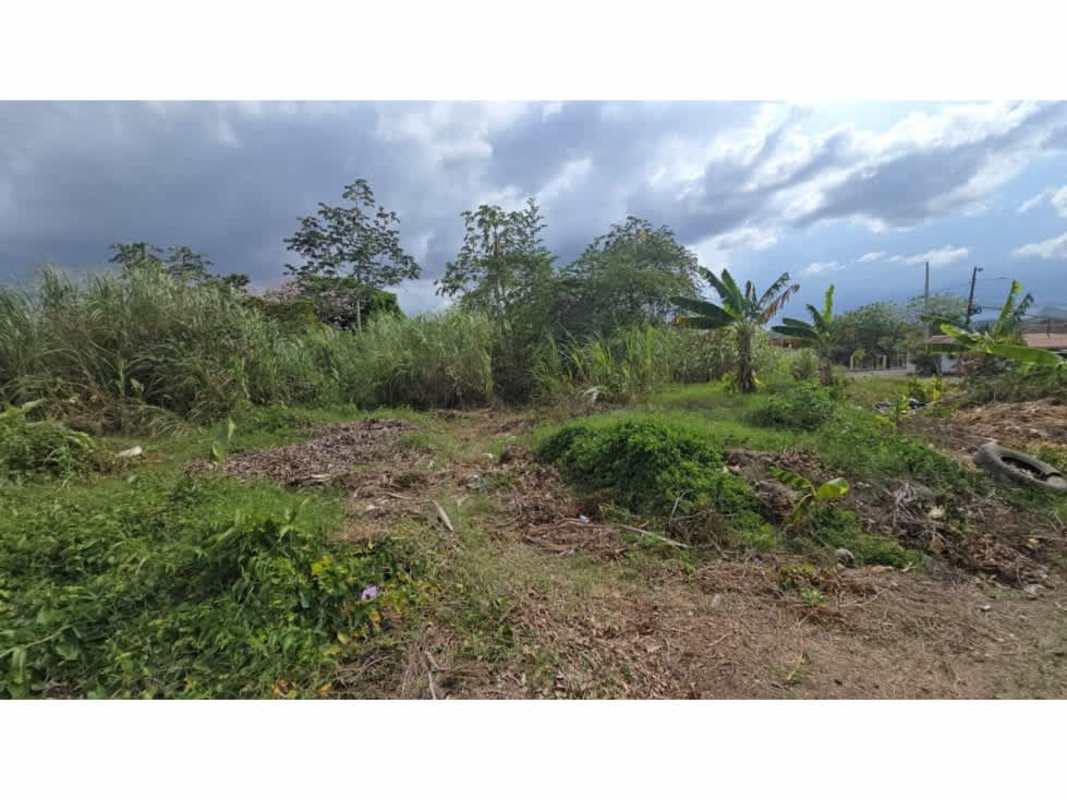 Vacant lot covered in greenery and banana trees Las Cumbres Villa Zaita Panama