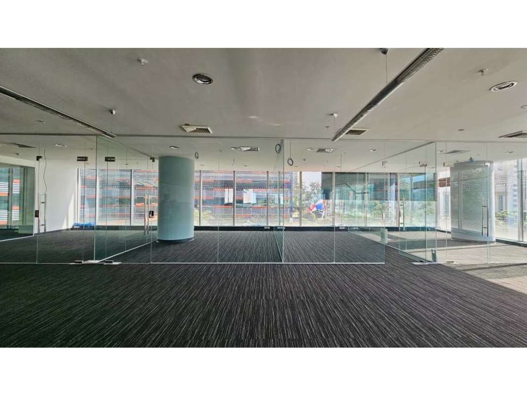 Empty modern commercial office with glass walls, carpeting, expansive city views at Oceania Punta Pacifica
