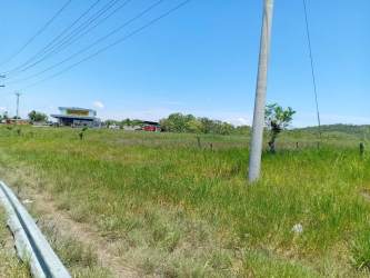Scenic countryside lot with trees and fenceline on Interamerican Highway David Chiriquí