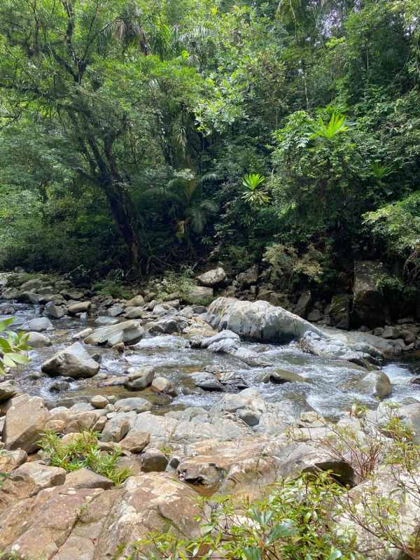 Two-story modern house with garden and patio in gated Panama Norte community