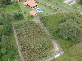 Aerial photo of fenced 1,000m² lot surrounded by tropical countryside in Bejuco Chame Panama
