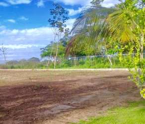 Open fenced 1,000 square meter land parcel with palm trees in Bejuco Chame