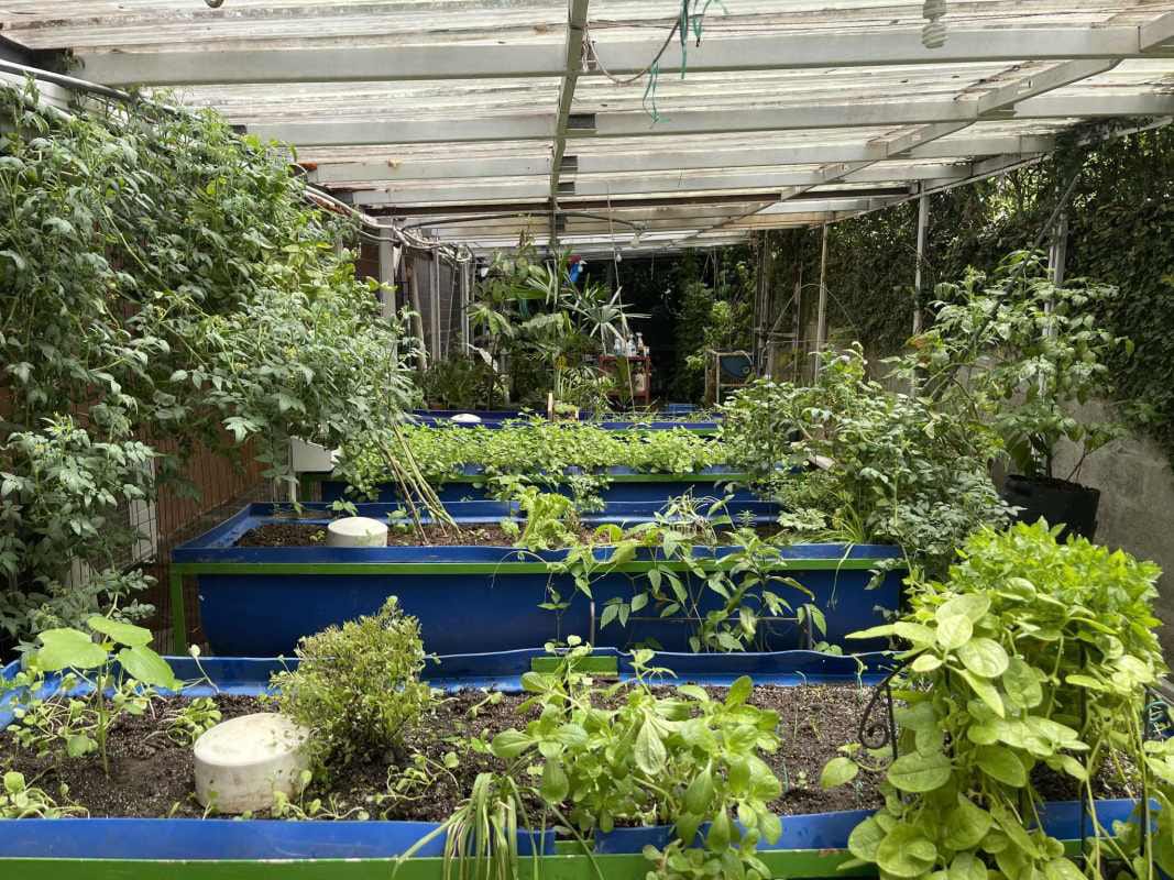 Covered garden patio with terracotta tiles and tropical plants at Panama family residence