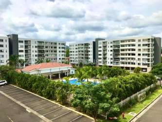 Resort-style swimming pool with palm trees and green surroundings at Woodlands Midrise Panama Pacifico