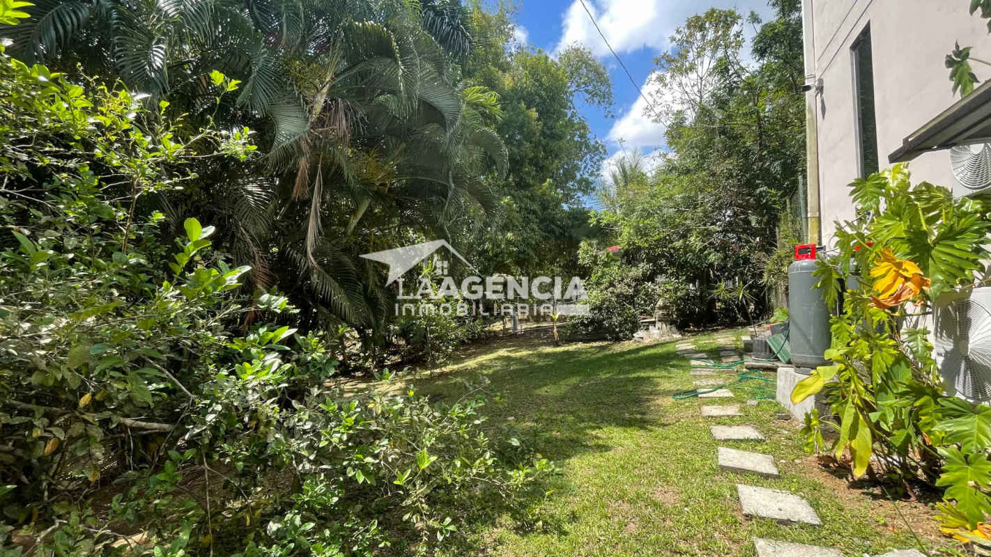 Furnished Studio with Terrace Overlooking Gardens | Clayton