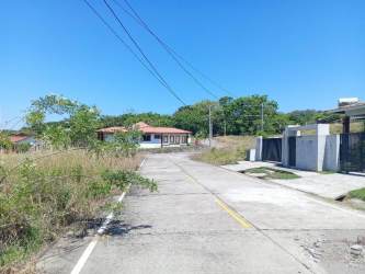 Vacant roadside lot with utility pole, power lines and overgrown grass in David Chiriquí Panama