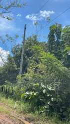Large green field with utility pole and dirt road access on farm for sale Calobre Panama