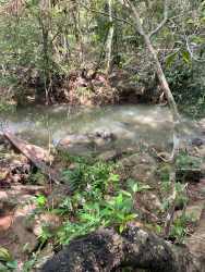 116 Hectares Farm with House & Creek in Calobre Panama