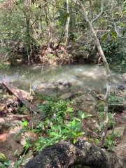 Land for Sale in Calobre - 2 bedrooms