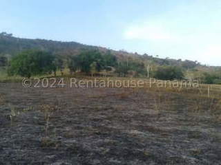 Land / Lot for Rent in Ollas Arriba - 0 bedrooms