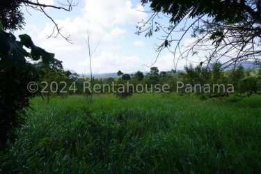 Grassy open field with distant trees and mountain backdrop in La Chorrera Panama