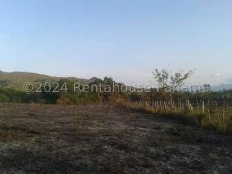 Vacant flat plot with scattered trees and open sky mountain background Panama