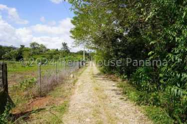 Rural dirt road adjacent to large vacant land with trees and vegetation Panama