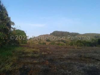 Expansive grassy plot with small hills, ideal for farming or storage purposes