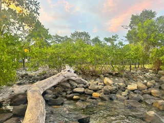 Land for Sale in Las Lajas - 0 bedrooms