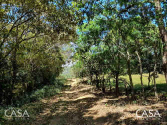 Dirt trail surrounded by green trees on property Boquete Panama
