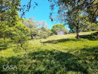 Open pasture with mature trees and mountain backdrop in boquete panama