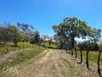 Grassy land with fruit trees La Estrella Boquete rural Panama