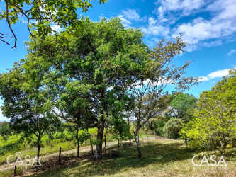 Open grassy countryside property with fenced areas Boquete Panama