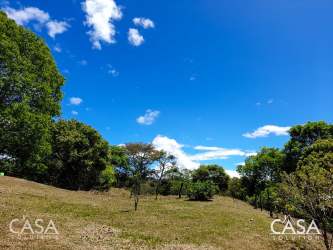 Green land with trees and blue sky in Alto Boquete Panama