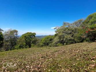 Lush country landscape with green trees in Boquete Chiriquí Panama